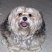 Marjorie Maxwell Grimm - Facebook