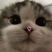 Marjorie Gutierrez - Facebook