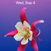 Marjorie Ham - Facebook