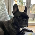 Marjorie Hamilton - @marjoriehamilton15 - Instagram