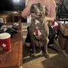 Marjorie Hammond - @marjorie.hammond - TikTok