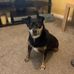 Marjorie Hamblin - Facebook