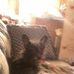 Marjorie Hand - Facebook