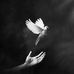 Headley Marjorie - Facebook