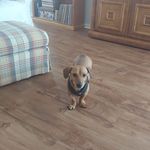 Marjorie C Healey - @marjorie.c.healey - Instagram
