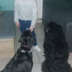 Marjorie Heller - Facebook