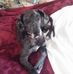 Marjorie E. Hirsch - Facebook