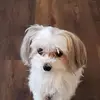 marjoriekeith525 - @marjoriekeith525 - TikTok