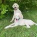 Marjorie B. Kellogg - Facebook