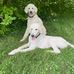 Marjorie Bradley Kellogg - Facebook