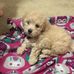 Marjorie Kees - Facebook