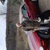 Marjorie Knowles - Facebook