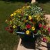 Marjorie Stevens Knowles - Facebook