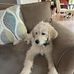 Marjorie Dowdy Koslow - Facebook