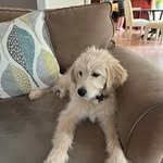 Marjorie Dowdy Koslow - @eternity576 - Instagram