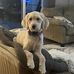 Marjorie Koslow - Facebook