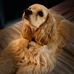 Marjorie Kunkle - Facebook