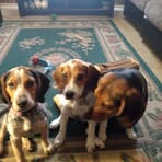 Marjorie Lasher - Facebook