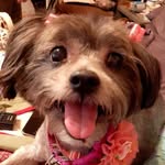 Marjorie Collinge MacDonald - @marjoriemacdonald279 - Instagram