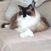 Marjorie Macdonald - Facebook
