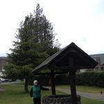 Marjorie MacKinnon - @marjorie.mackinnon.587 - Instagram