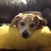 Marjorie MacKinnon-Hawco - Facebook