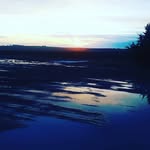 Marjorie Mann - @mannmarj11 - Instagram