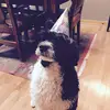 marjoriemann81 - @marjorie.mann2 - TikTok