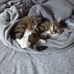 Marjorie McCann Faulstich - Facebook