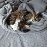Marjorie McCann Faulstich - @marjorie450 - Instagram