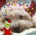 Marjorie Mccormack - Facebook