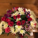 Marjorie McCormack - @mccormackmaj - Instagram