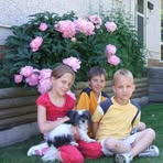Marjorie McDermott - Facebook