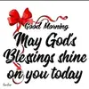 Marjorie McDermott - @marjorie.mcdermot - TikTok