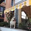 marjoriemckeeharr - @marjoriemckeeharr - TikTok