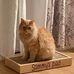 Marjorie McLeod - Facebook