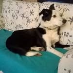 Marjorie Mcleod - @maggery1949 - Instagram