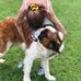 Marjorie Mcnulty - Facebook