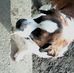 Marjorie Mcnulty - Facebook