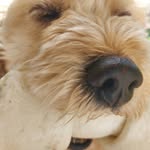 Marjorie Mix - @marjorie.mix - Instagram