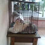 Mix Marjorie - Facebook