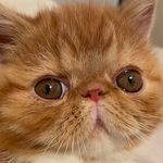 Marjorie Mooney - @marjorie.moo.knee - Instagram