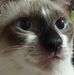 Marjorie Morales - Facebook