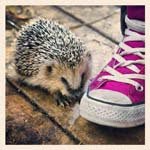 Marjorie_Morse_ - @marjorie_morse_o - Instagram