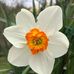 Marjorie Mueller - Facebook