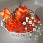 Marjorie Murray - @marjoriemurray587 - Instagram