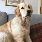 Marjorie Murray - @marj.lochtanna - Instagram