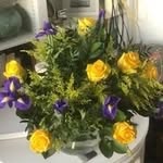 Marjorie Murray - @marjoriemurray49 - Instagram