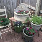 Marjorie Ogle - Facebook