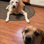 Marjorie Ogle - @mogle0824 - Instagram